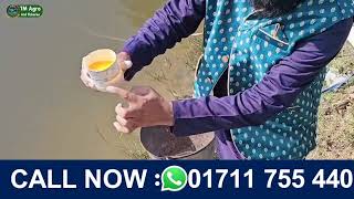   bglucan   mannan Oligosaccharide   