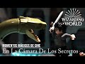 Momentos mágicos de cine de Harry Potter | EN LA CÁMARA | WB Kids