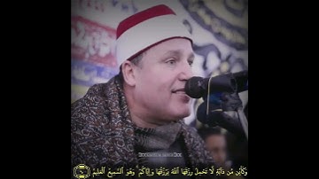 طبيب القلوب - حجاج الهنداوي - جواب من سورة العنكبوت😌🌺