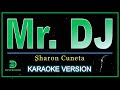 Sharon Cuneta - Mr  DJ (karaoke version)