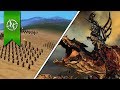 The Evolution Of Total War! | 2000 - 2017 |