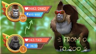 From 0 to 200 on Gorilla 🦍✨ WildCraft