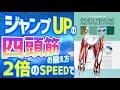 【海外の知見】ジャンプ力をあげる四頭筋の筋トレ方法　２倍のスピードでスクワットせよ
