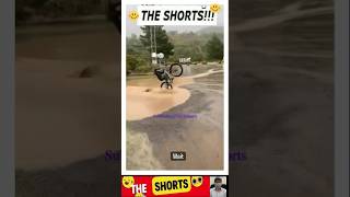 Celebrity #short #viral  #trending #shorts | respect sshorts | Profile