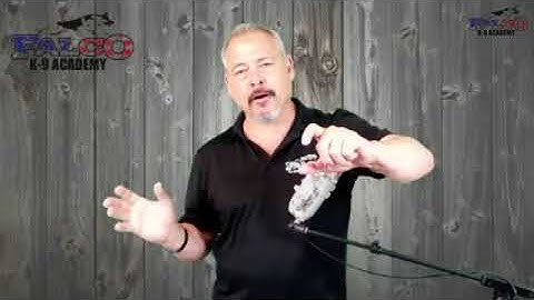 Bed Bug Dog Detection Scent Imprint Advancement