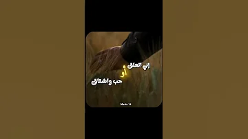 ولا كان على بالي كيف عملت هيك بلال ديركي اغاني ستوريات انستا ستوريات 