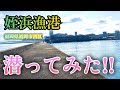 【博多湾のエース？姪浜漁港・福岡県福岡市・海中映像】サゴシ祭りの時には賑わう漁港だが果たして？ #267 福岡釣部 in 福岡・糸島・北九州・長崎・平戸・佐賀・唐津・呼子・生月島・鷹島・広島・岡山