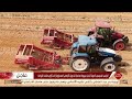 مستقبل مصر للإنتاج الزراعي.. باكورة مشروع الدلتا الجديدة