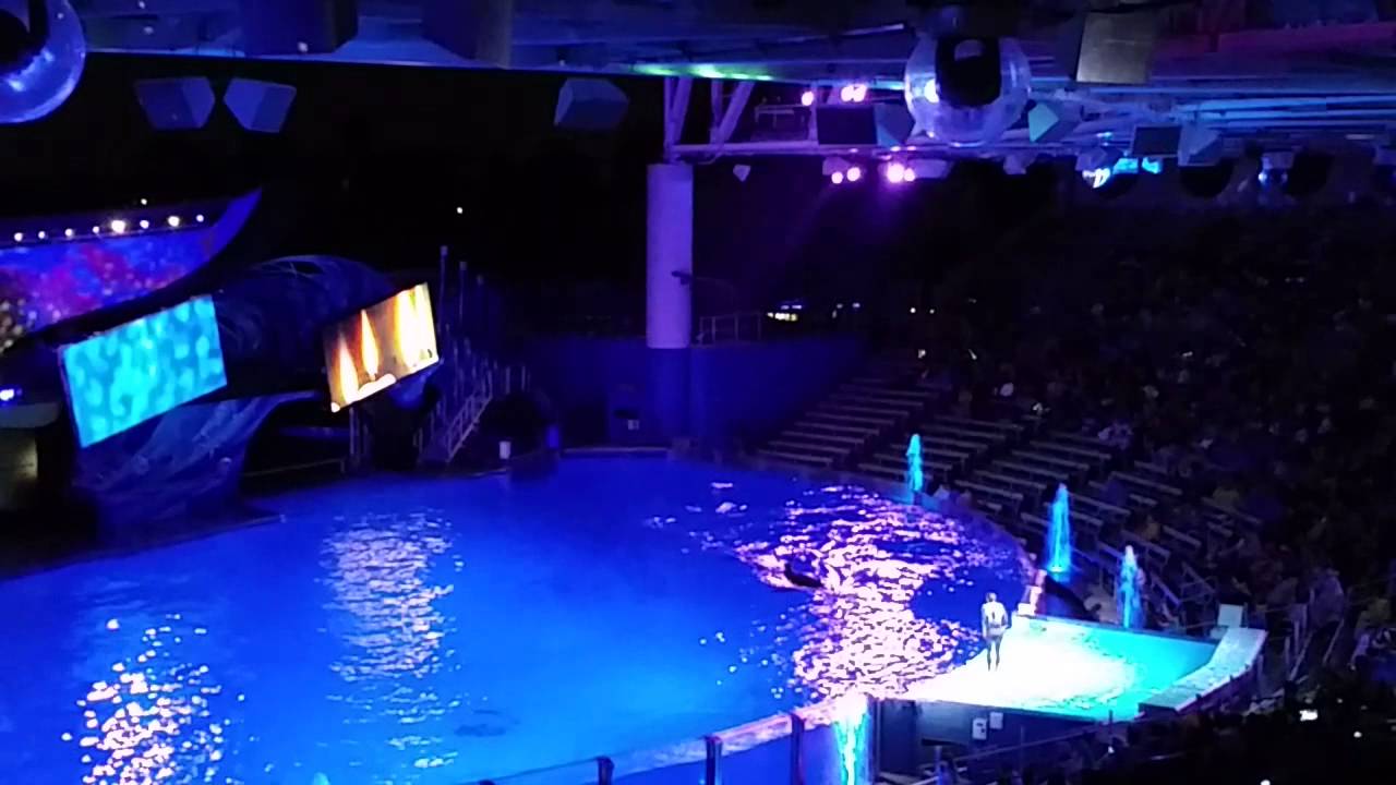 Shamus Christmas Miracles Show at Seaworld - YouTube