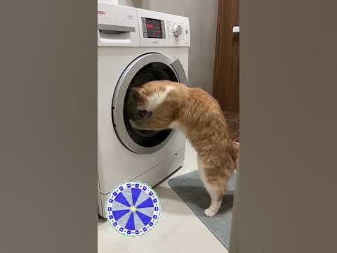 Крутите барабан! - YouTube