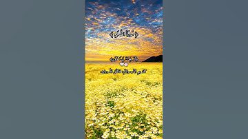 سورة الضحى🤍🌸 للشيخ ياسر الدوسري
