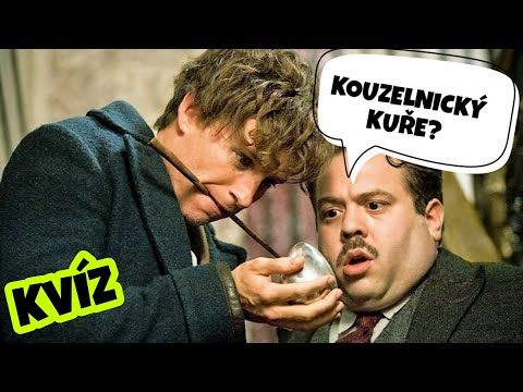 Video: Aká kvapalina ide do výkonnej výbavy?