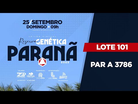 LOTE 101 PAR A3786