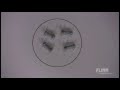 Chemistry Vocabulary Through Concrete Demonstrations with Everyday Objects