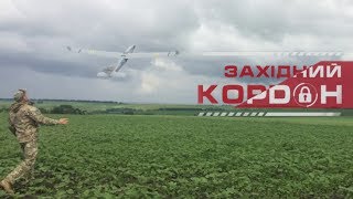 видео Автомобиль, беспилотник и собака Норма