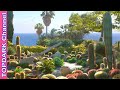 10 Jardines de cactus mas  hermosos del mundo