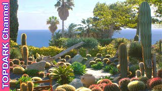 10 Jardines de Cactus Más  Hermosos del Mundo