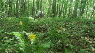 Травень..! Перший раз цього місяця в Ліс..що чекає нас третього травня,,чи будуть білі гриби