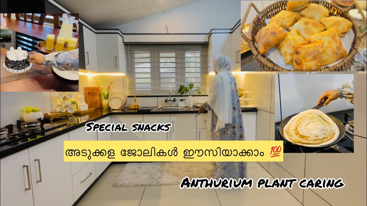 4.AM Morning to evening routine/Breakfast/Lunch/#Special snacks/Anthurium plant caring tips