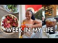 WEEKLY VLOG: Work Outfit Ideas, Boohoo Haul, Packing for Vacation, San Diego Road Trip! Tanicha Rose