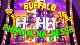 BUFFALO STAMPEDE!! with VegasLowRoller on Buffalo Ascension Slot Machine!!