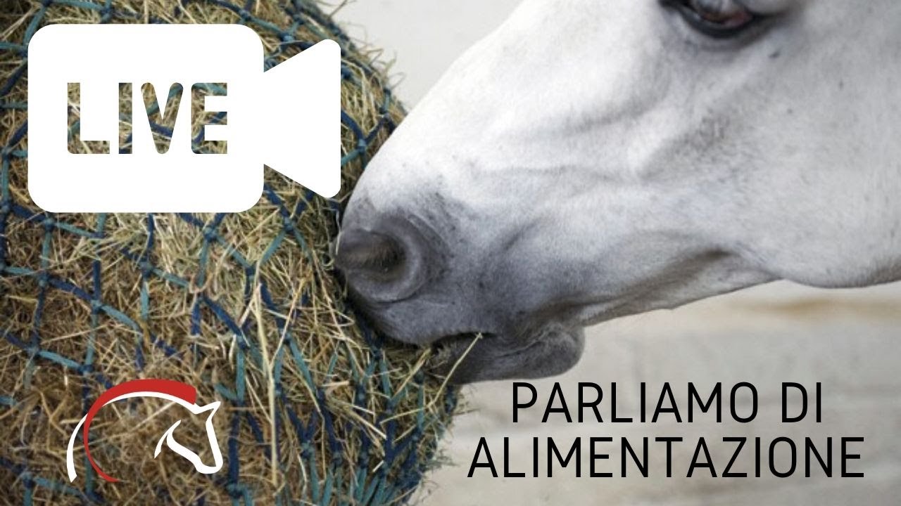 sollievo prurito al sedere