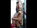 Little girl giant sea odyssey liverpool 2012 friday 9