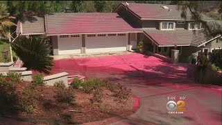 Homeowners Assess Fire Damage