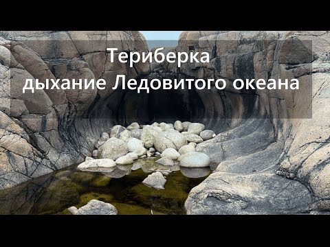 Видео: Териберка- дыхание Ледовитого океана | Скелет Левиафана, Дикие морские ежи , Край земли-