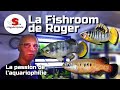 La fishroom de roger  poissons exotiques sauvages episode 1