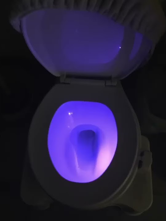 Glow Up Your Bathroom With This Bowl-Cleaning LED Neon Toilet