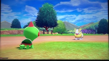 Live Shiny Chewtle after 1,091 REs [Full Odds] [Pokemon Shield Shiny Run]