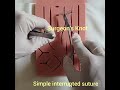 Simple interrupted suture with surgeons knot  demo