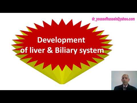 Development and congenital anomalies of liver and biliary system | Gall bladder