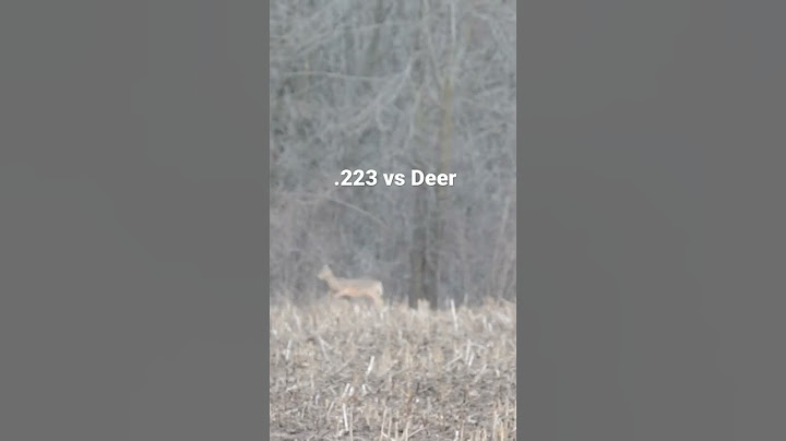Deer Hunt .223 AR15 - Dropped!!! Didn’t Go 20 #deer #deerhunting #ar15 #guns #hunting #meateater