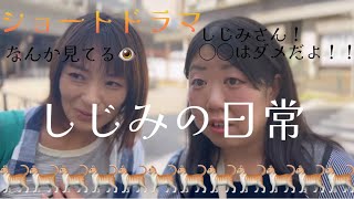 ショートドラマ『しじみの日常』