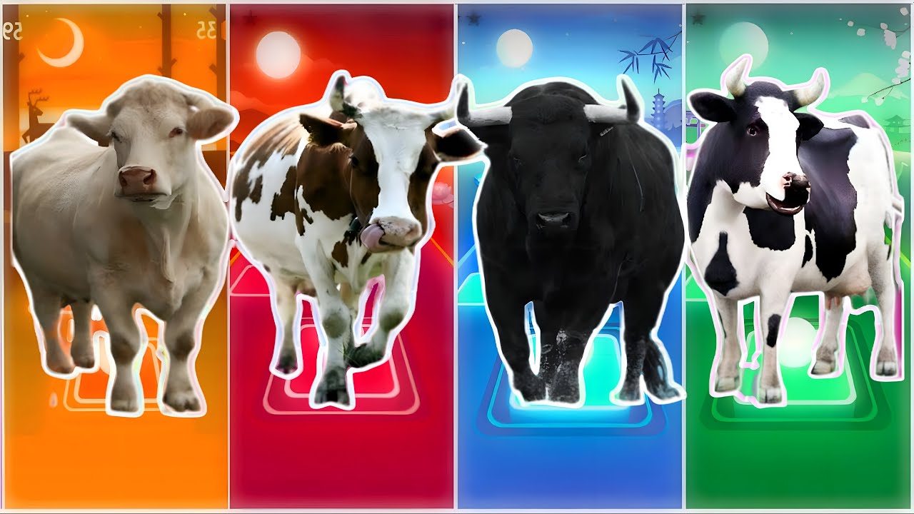 Funny Cow 🐄🆚 Funny Bull 🐂🆚 Funny Buffala 🐂🆚 Funny Bison 🦬|Coffin Dance Remix | Tiles Hop 2025