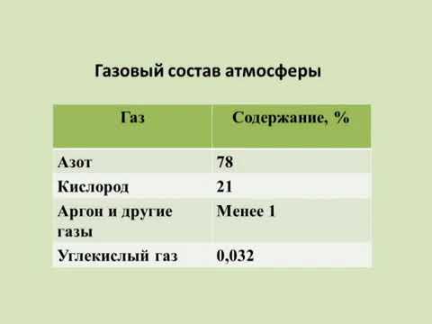 11 класс. Биология. Биосфера. Биогеохимические функции живого вещества