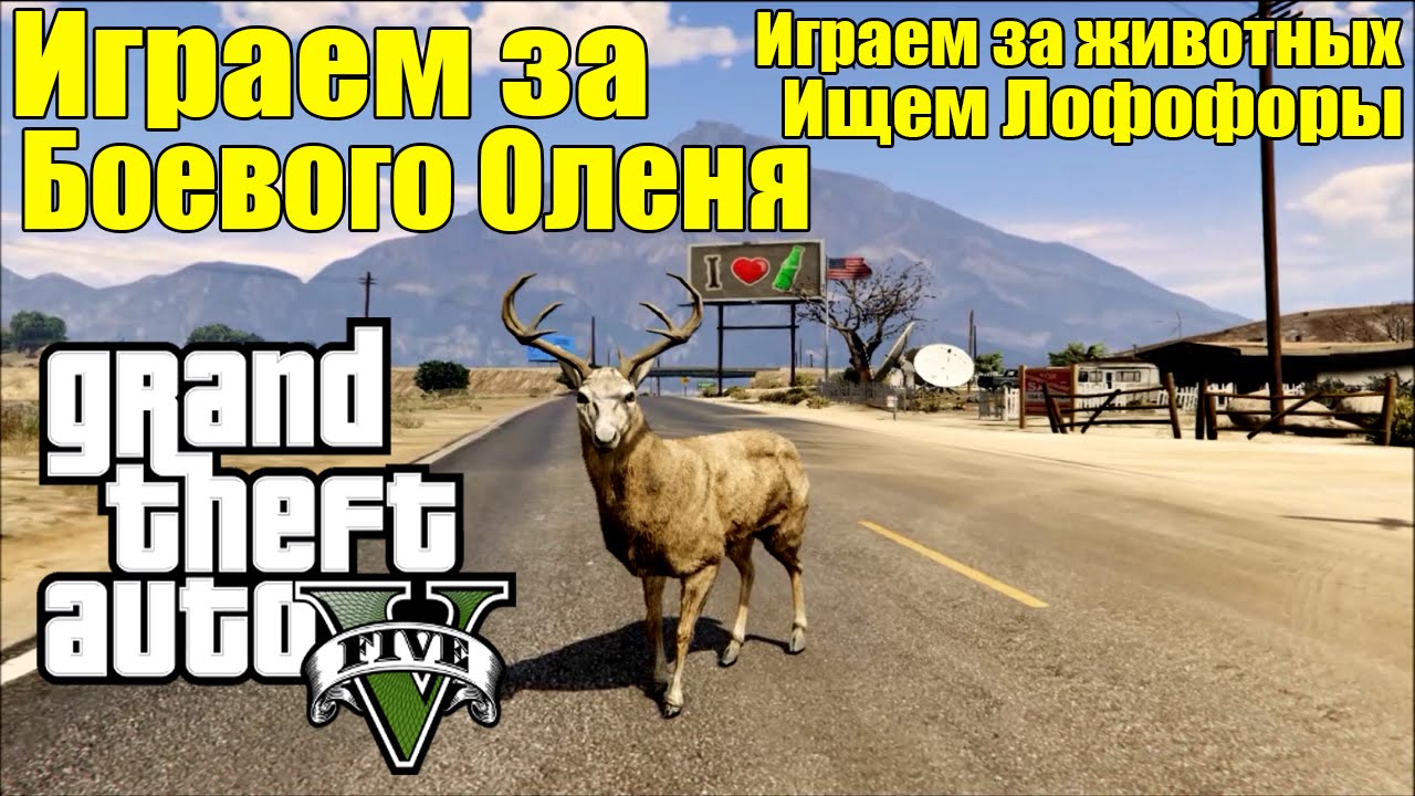 Гта оленя. Олени в ГТА 5. ГТА олень. Лофофор в GTA V за оленя. Лофофоры в ГТА 5 олень.