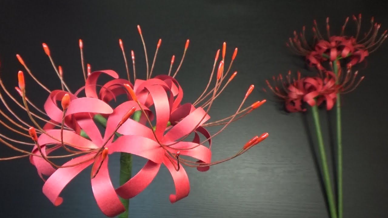 ペーパーフラワー 9月の飾り 彼岸花の作り方 Diy Paper Flower Cluster Amaryllis Youtube