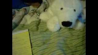 free webkinz code contest