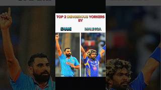 Top 2 Dangerous Yorkers SHAMI+MALINGA | #cricket #icc #crickettips #trendingsong #ipl #cricketcardio