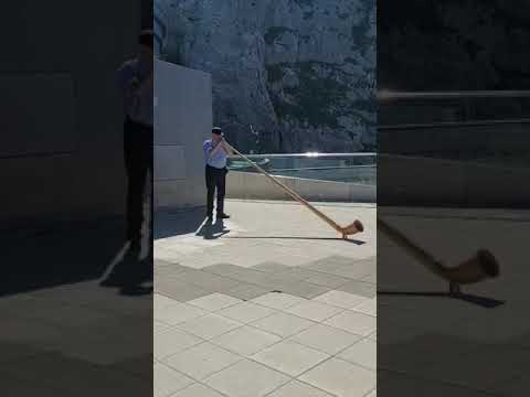 playing Alphorn on
