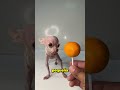 Este Perro Es Más Pequeño Que Una Fruta 😱