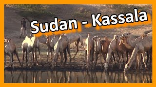 Sudan - Kassala