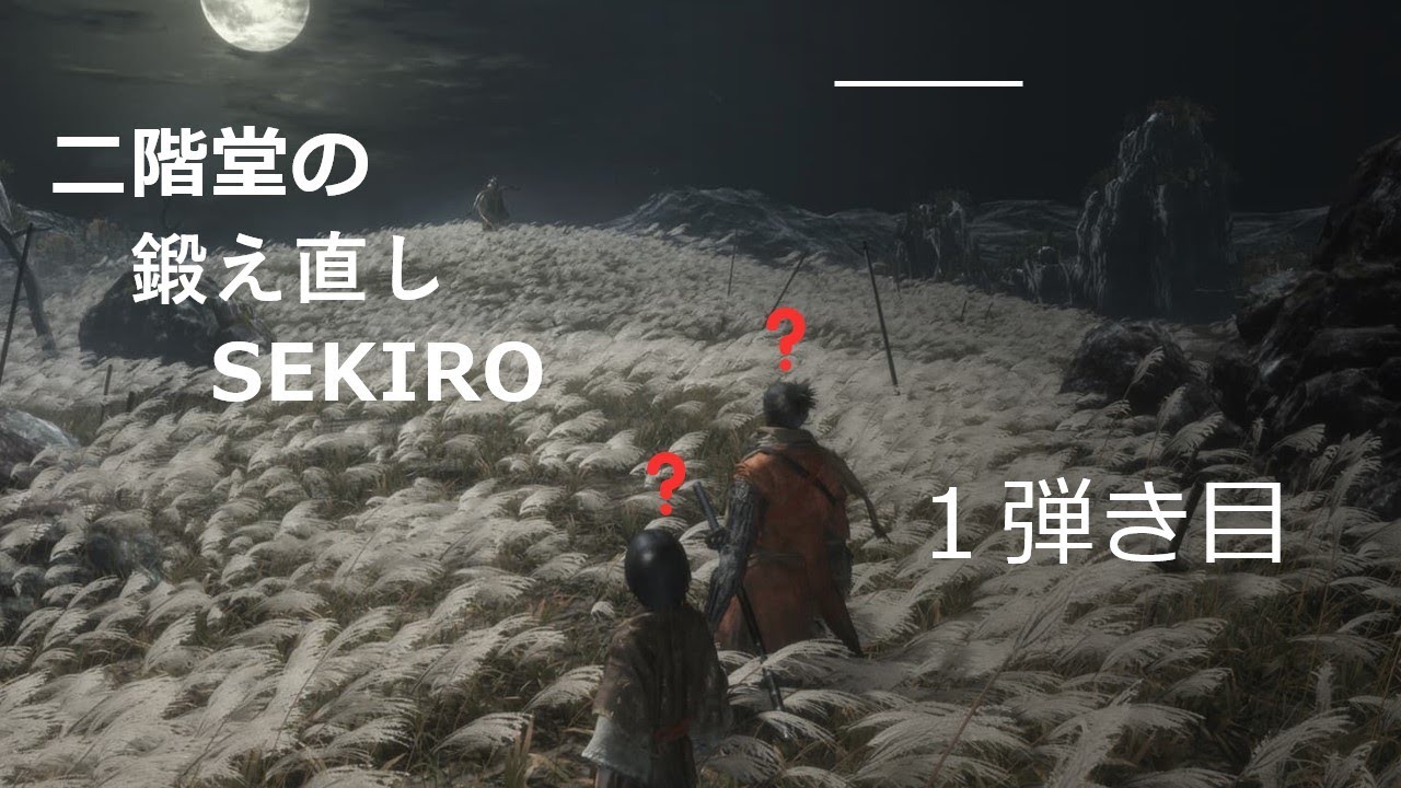 二階堂の鍛え直しSEKIRO　１弾き目