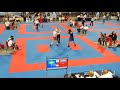 Miguel jacob bra x igor aleksenko rus   kick light 3 round