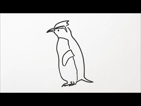 簡単 ペンギンの描き方 イラスト お絵描き Easy How To Draw A Penguin Illustration Drawing Youtube