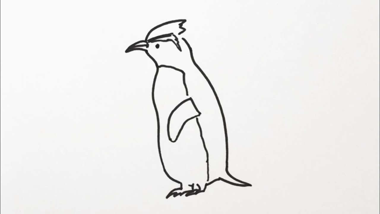 簡単 ペンギンの描き方 イラスト お絵描き Easy How To Draw A Penguin Illustration Drawing Youtube