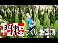 門松づくり最盛期　千葉県東庄町